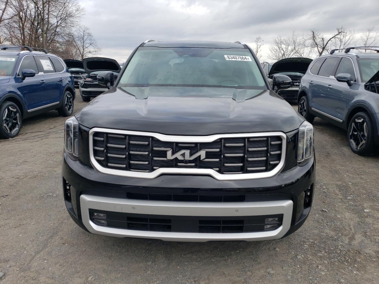 2024 KIA TELLURIDE SX VIN:5XYP5DGC3RG540392