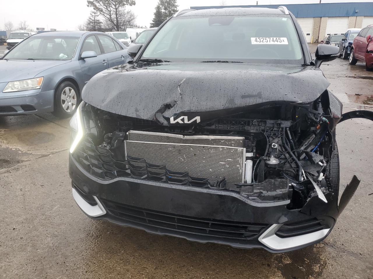 2023 KIA SPORTAGE EX VIN:5XYK3CAF8PG113994