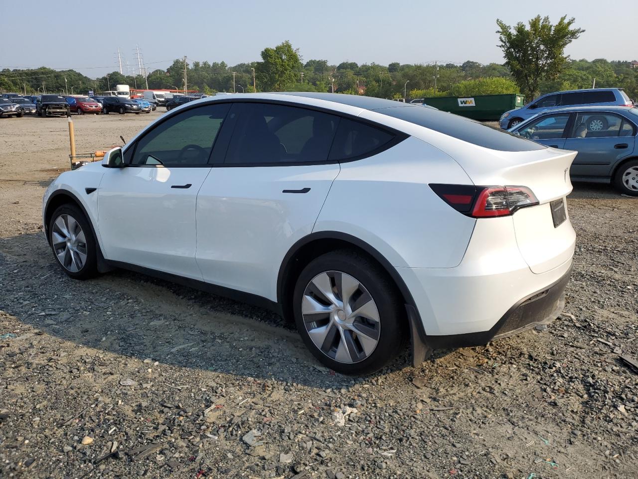 2023 TESLA MODEL Y  VIN:7SAYGDEE3PA102656