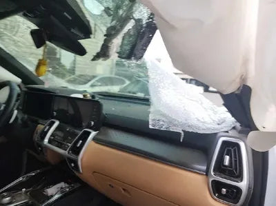 2021 Kia Sorento KNARF81FGMA070589 VIN:KNARF81FGMA070589
