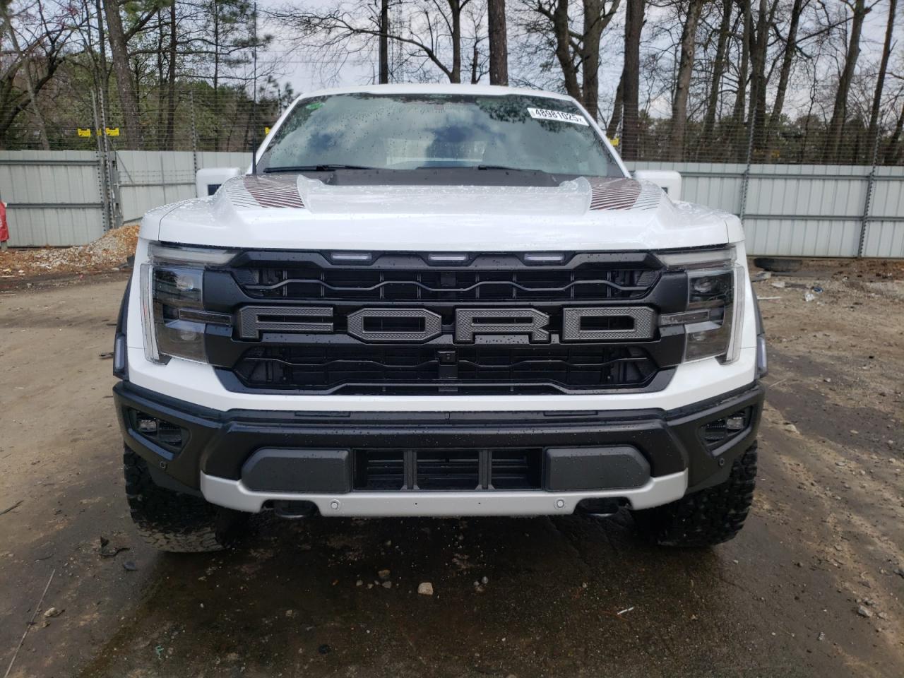 2024 FORD F150 RAPTOR VIN:1FTFW1RG5RFA24884