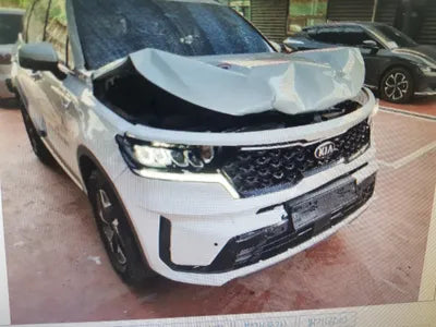 2021 Kia Sorento KNARL81GDMA044225 VIN:KNARL81GDMA044225