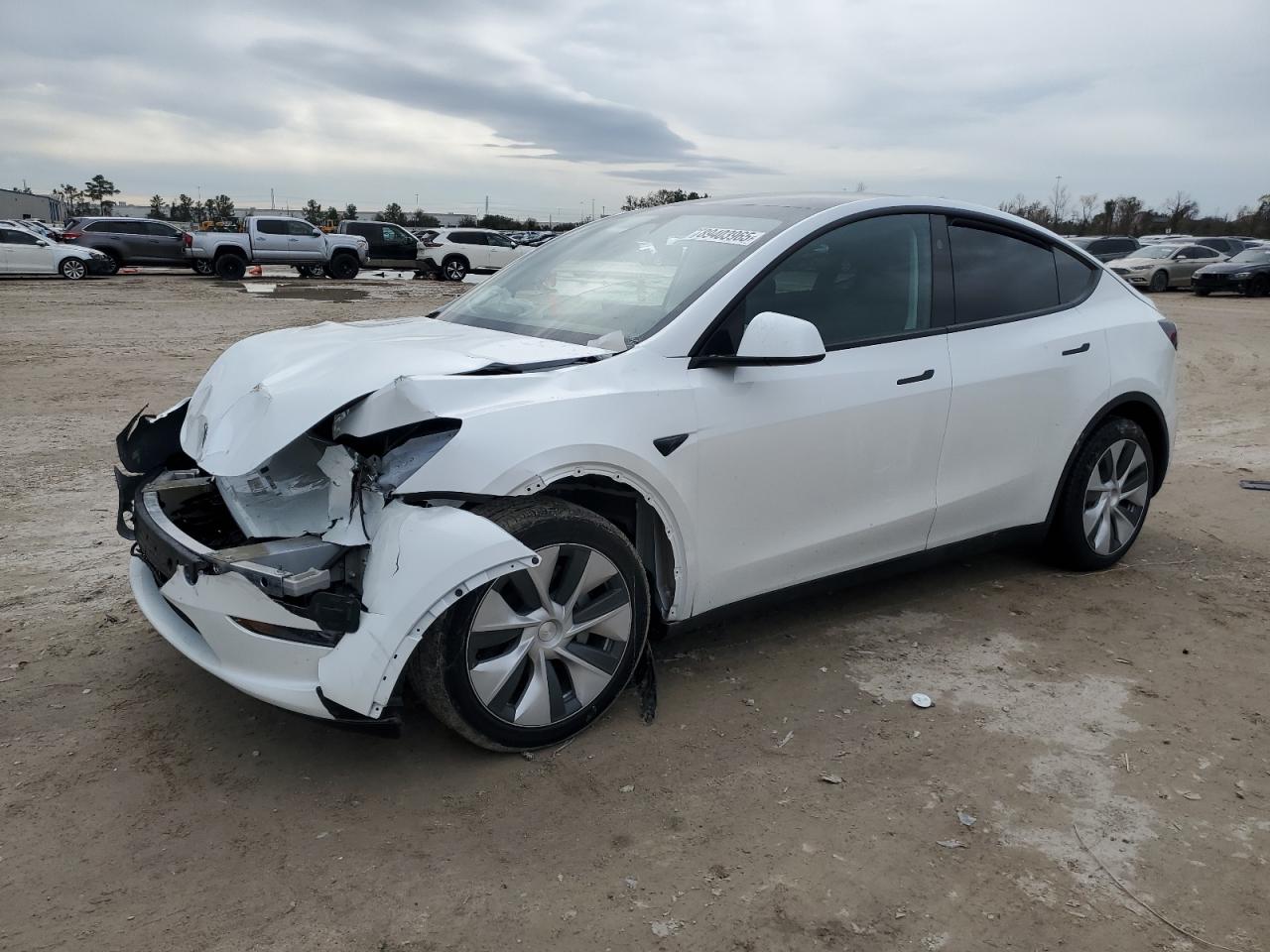 2024 TESLA MODEL Y  VIN:7SAYGDED4RF055537
