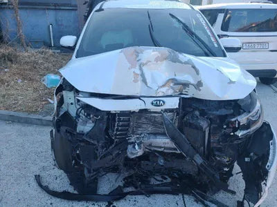 2020 Kia Carnival KNAMC81ABLS668842 VIN:KNAMC81ABLS668842