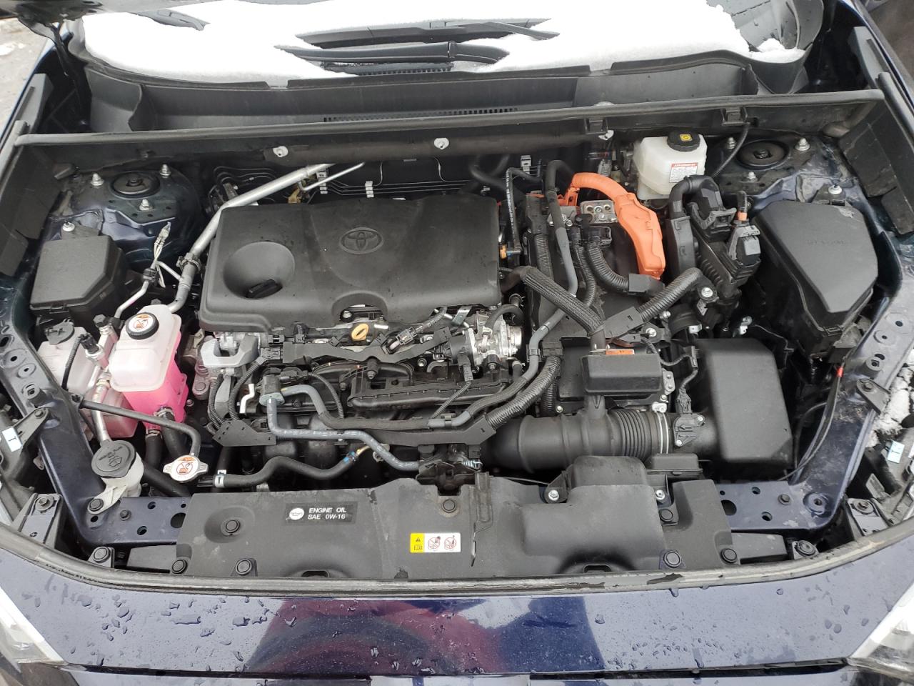 2024 TOYOTA RAV4 XLE VIN:4T3RWRFV4RU124973