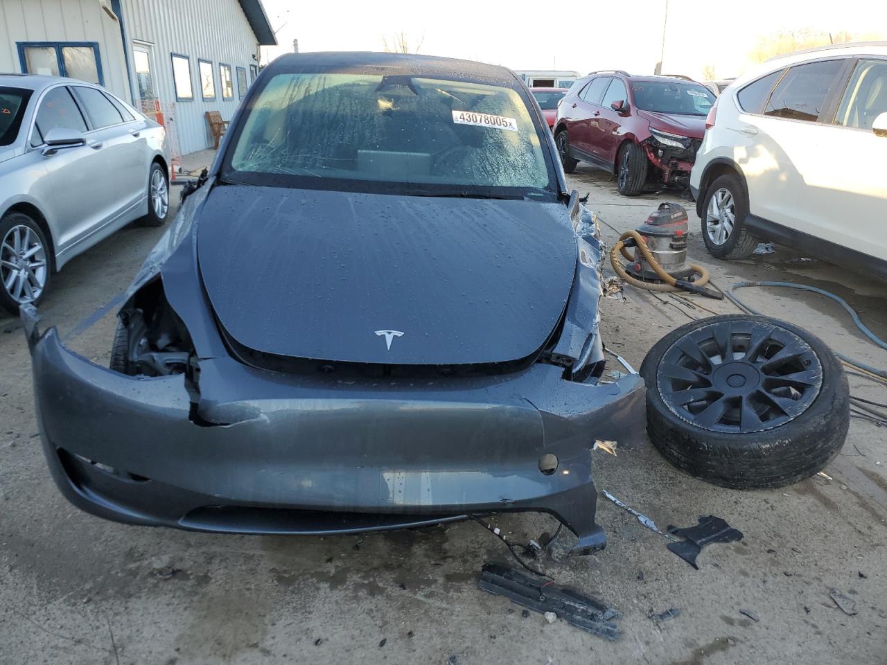 2023 TESLA MODEL Y  VIN:7SAYGAEE3PF849918