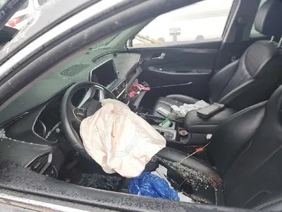 2019 Hyundai Santa FE 2KMHS381BBKU07648 VIN:2KMHS381BBKU07648