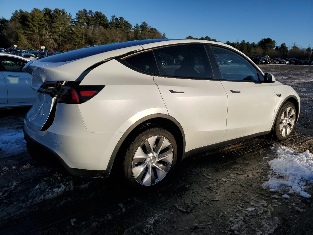 2023 TESLA MODEL Y  VIN:7SAYGDEE5PA129745