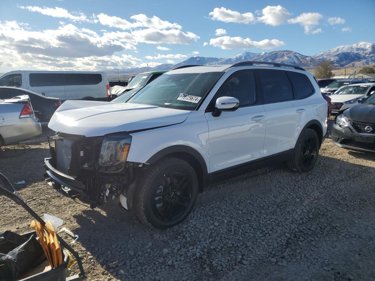 2024 KIA TELLURIDE SX VIN:5XYP5DGC7RG551637