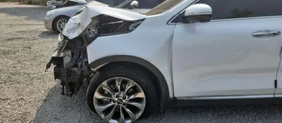 2019 Kia Sorento KNAPS81BBLA564800 VIN:KNAPS81BBLA564800
