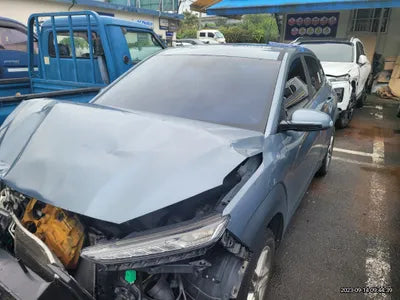 2018 Hyundai Kona KMHK3816GJU004099 VIN:KMHK3816GJU004099