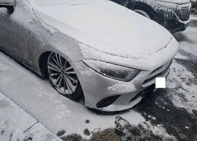 2019 Mercedes-Benz CLS 400 WDD2J2DB9KA006010 VIN:WDD2J2DB9KA006010