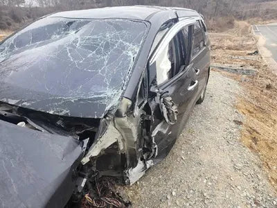 2017 Kia Carnival VIN: