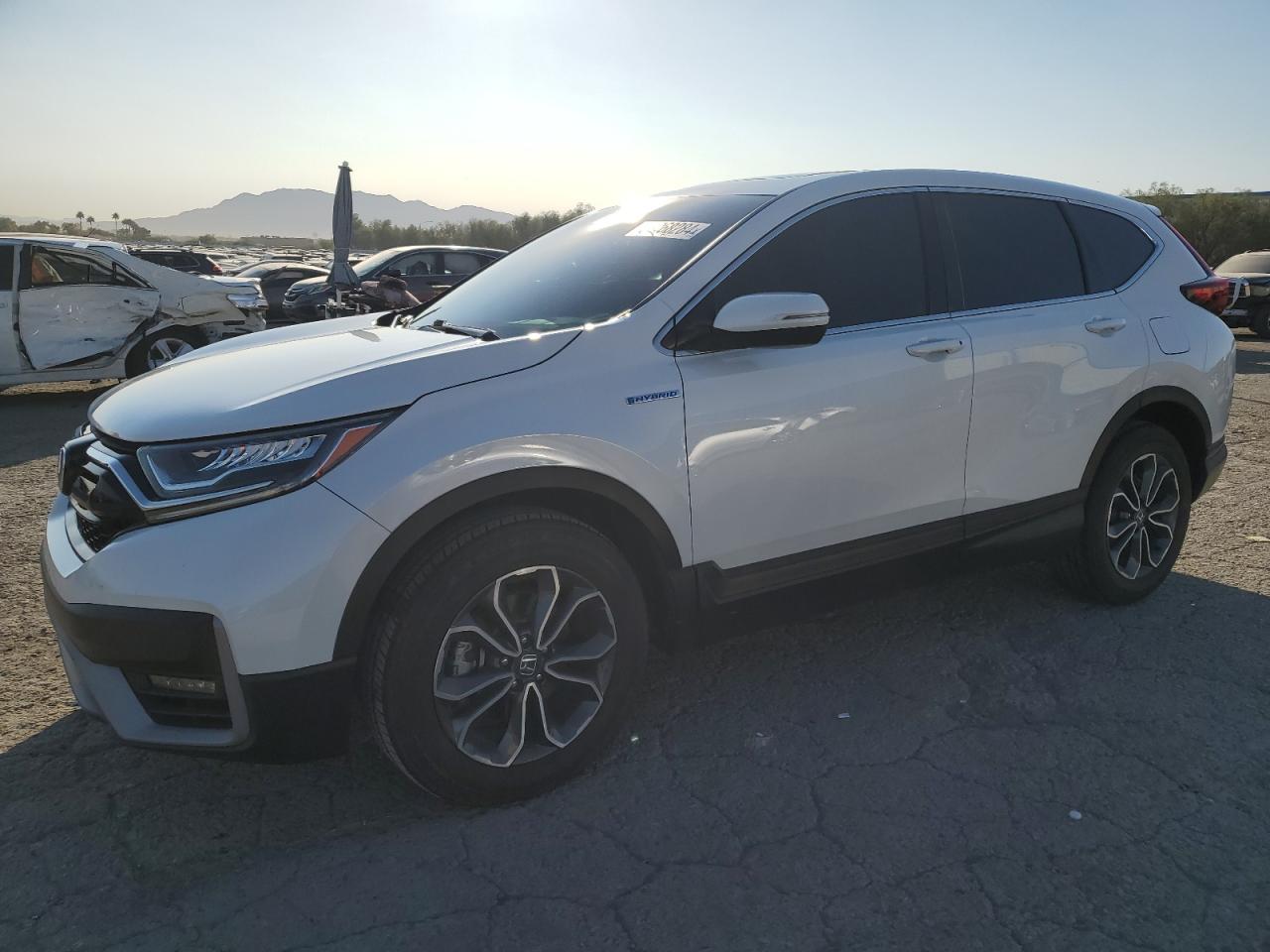 2022 HONDA CR-V EXL VIN:5J6RT6H87NL049871