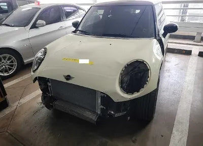 2021 MINI Cooper WMWXR7106M2N30623 VIN:WMWXR7106M2N30623