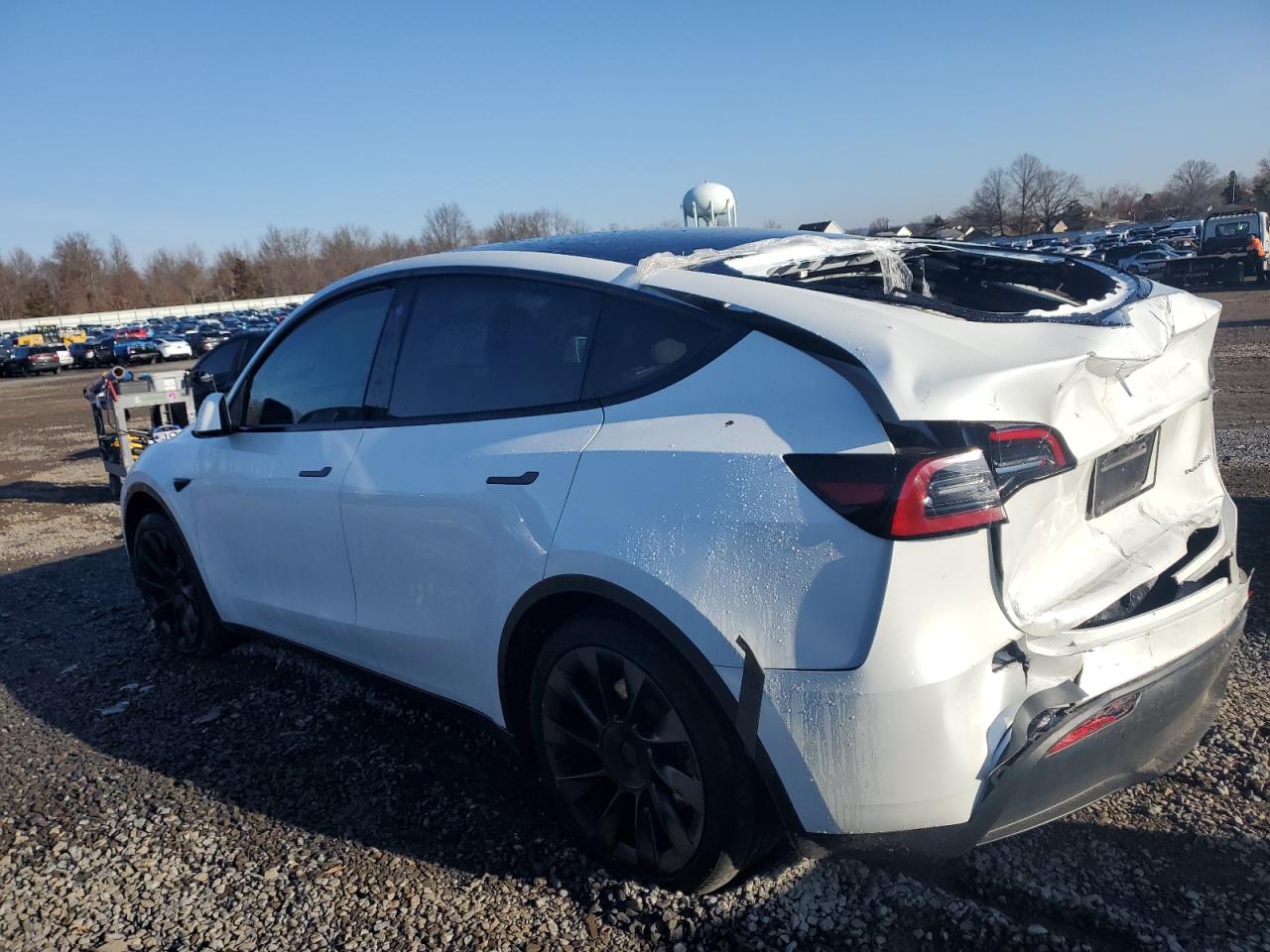 2023 TESLA MODEL Y  VIN:7SAYGAEE1PF611713