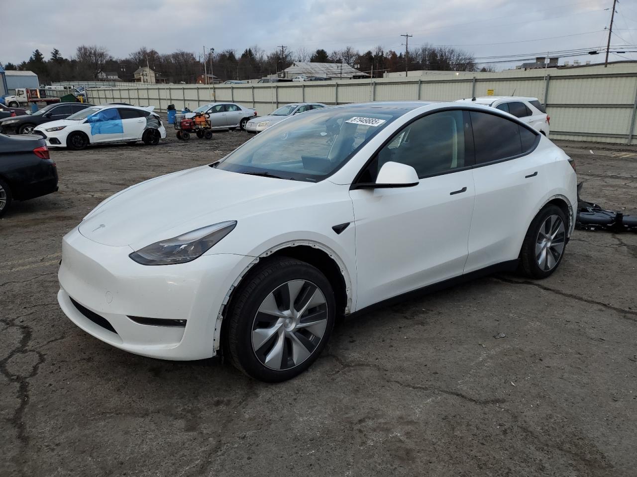 2023 TESLA MODEL Y  VIN:7SAYGAEE3PF803280