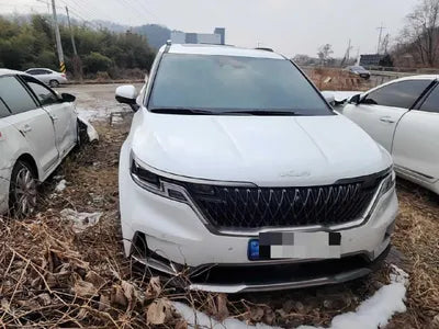 2022 Kia Carnival KNANE81BBNS170565 VIN:KNANE81BBNS170565