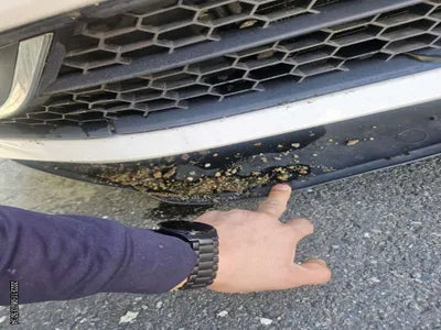 2015 Volkswagen Passat 114KM1VWZZZA3ZFC0 VIN:114KM1VWZZZA3ZFC0