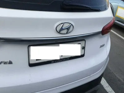 2019 Hyundai Santa FE KMHS281BBKU113319 VIN:KMHS281BBKU113319