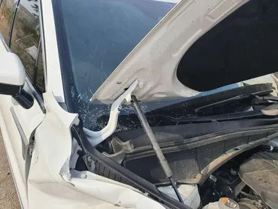 2020 Kia Sorento KNARK81BGMA038540 VIN:KNARK81BGMA038540