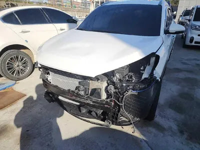 2019 Hyundai Tucson KMHJ5812GKU974503 VIN:KMHJ5812GKU974503