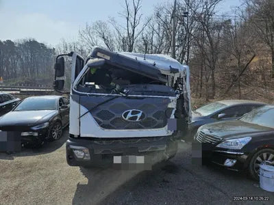 2023 15.5 tons of fabis (compressed pear) VIN: