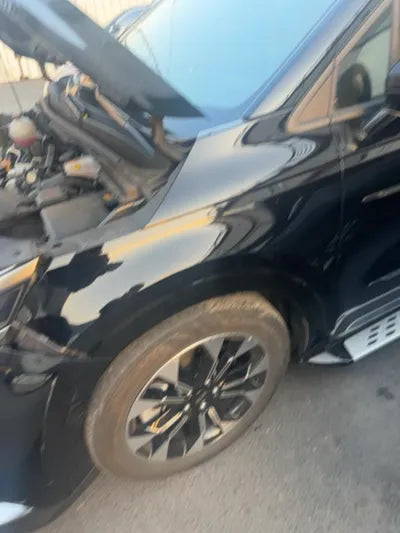 2020 Kia Carnival KNAMB81ABLS648113 VIN:KNAMB81ABLS648113