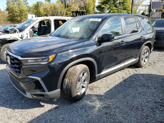 2024 HONDA PILOT EXL VIN:5FNYG1H51RB019899