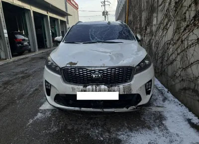 2019 Kia Sorento KNAPG81BBKA487503 VIN:KNAPG81BBKA487503