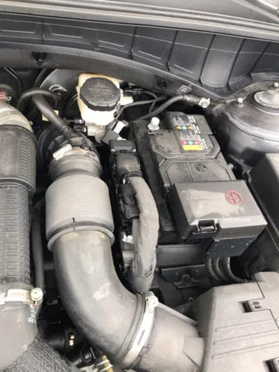 2022 Kia Sorento KNARM81FGNA147321 VIN:KNARM81FGNA147321