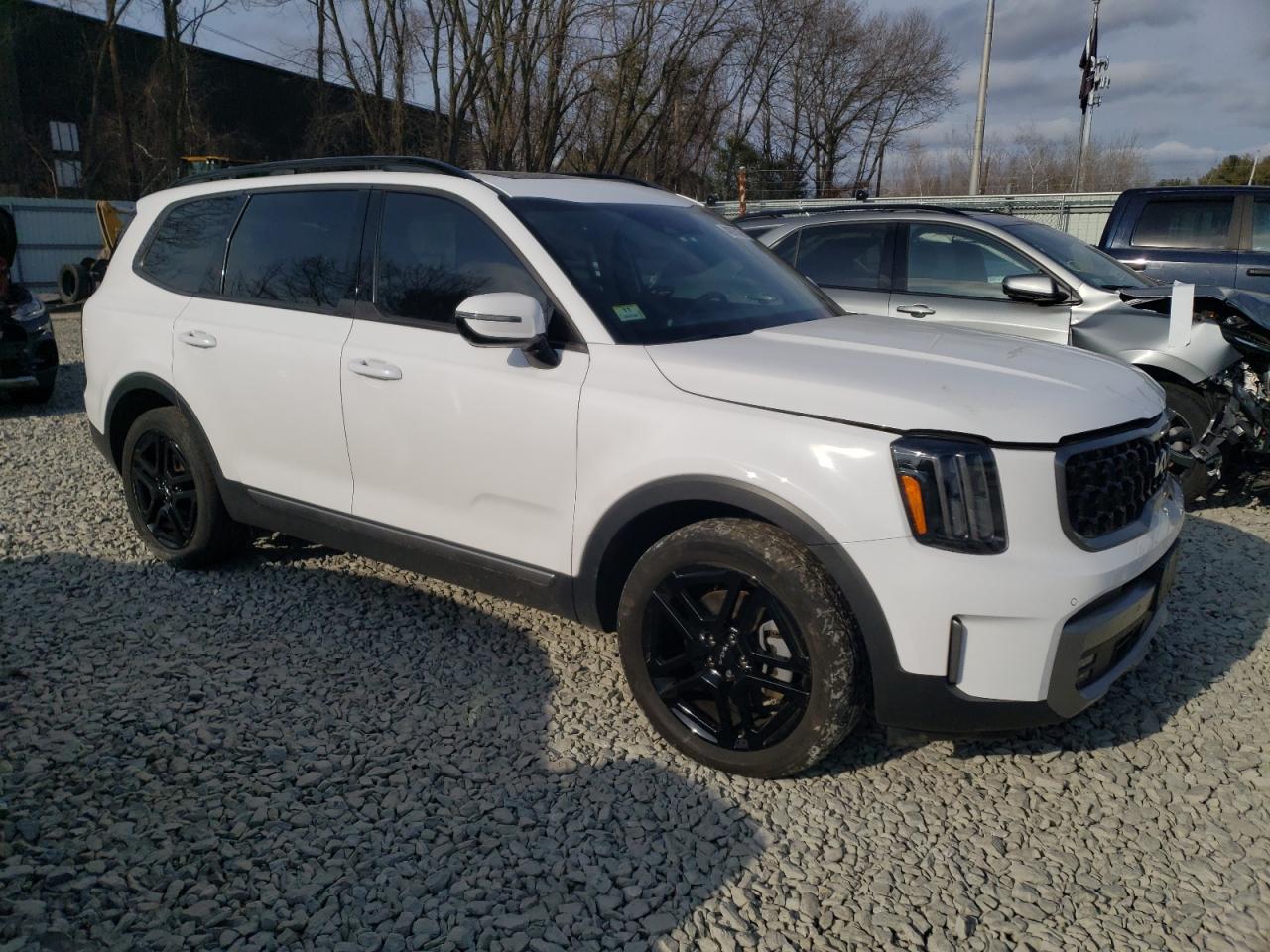 2023 KIA TELLURIDE SX VIN:5XYP5DGC9PG333549