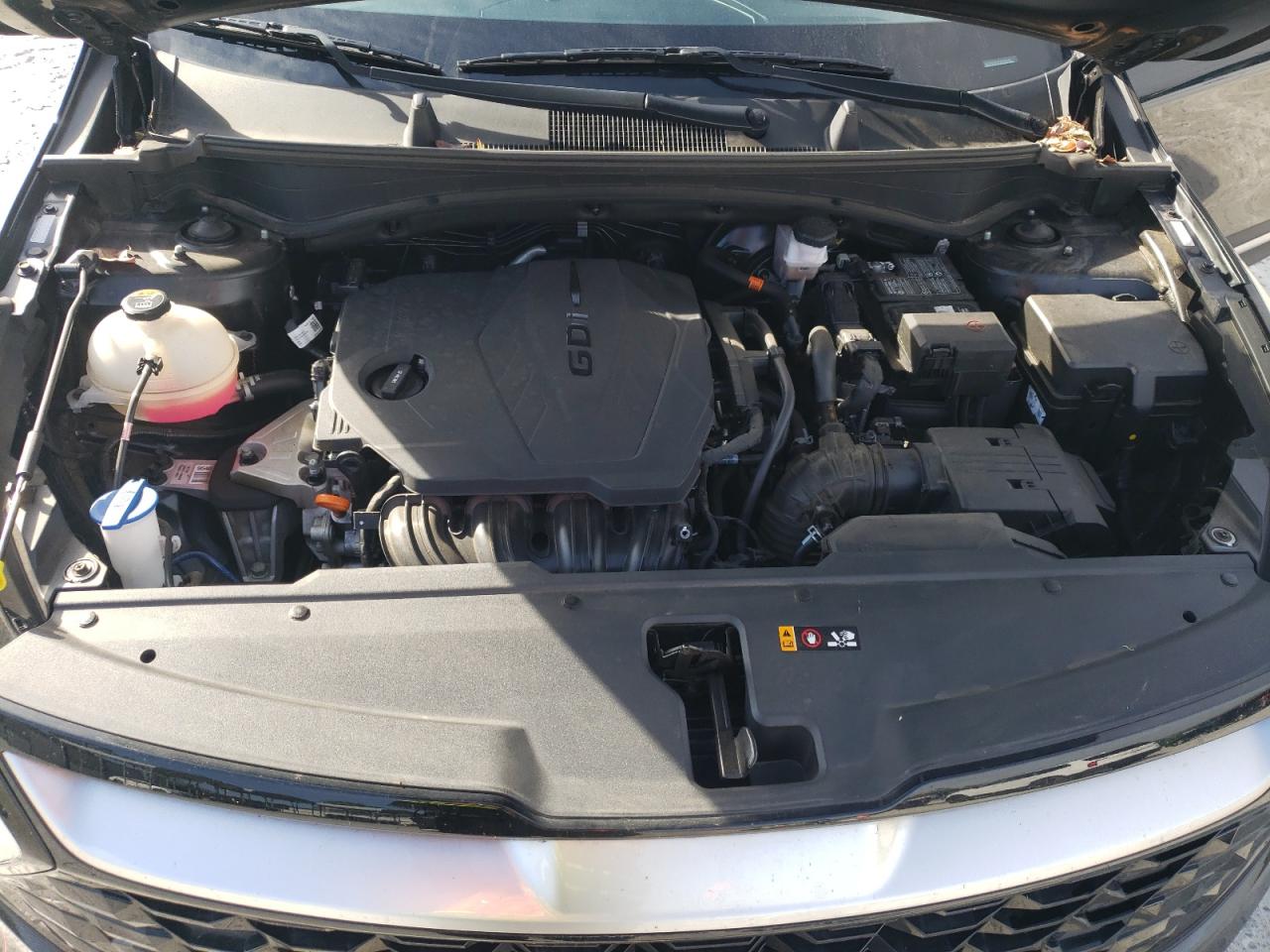 2023 KIA SPORTAGE EX VIN:5XYK3CAF3PG119153