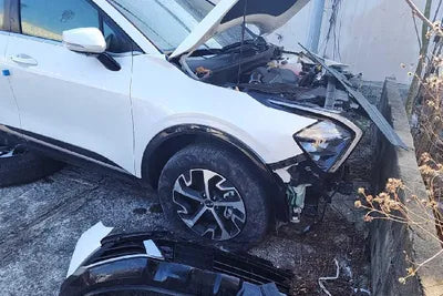 2023 Kia Sportage KNAPW81GBPK048538 VIN:KNAPW81GBPK048538