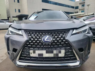 2019 Lexus UX 250 JTHY6JBH1K2001609 VIN:JTHY6JBH1K2001609