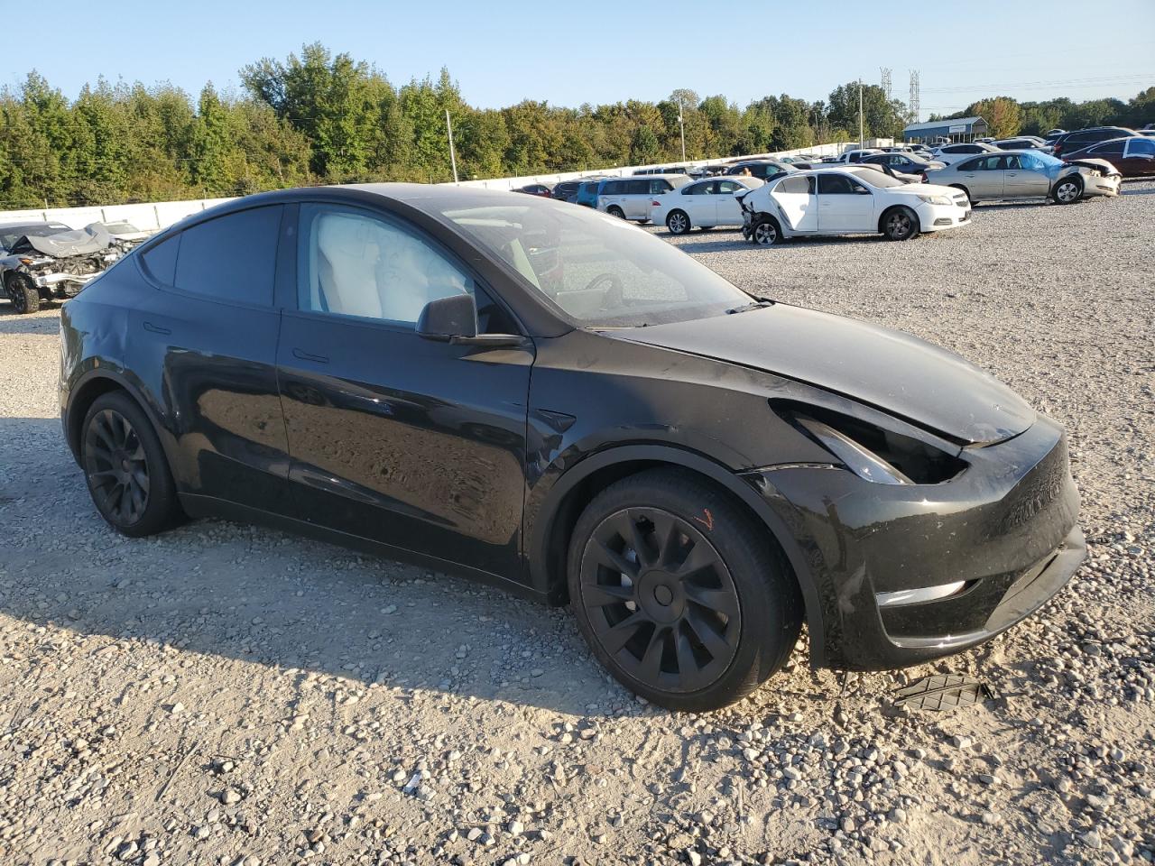 2023 TESLA MODEL Y  VIN:7SAYGDEE6PA190991