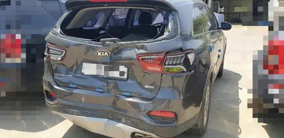 2017 Kia Sorento KNAPS81BBJA425950 VIN:KNAPS81BBJA425950