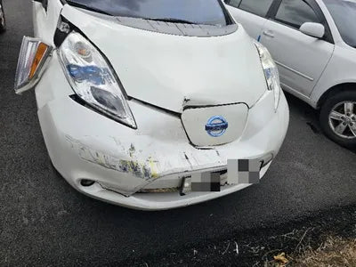 2015 Nissan Leaf VIN: