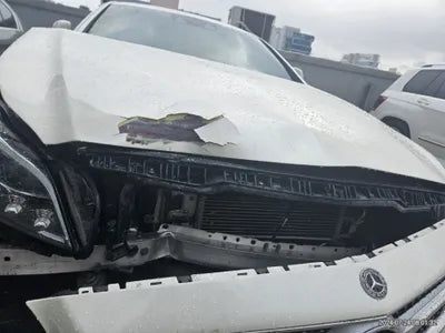 2017 Mercedes-Benz CLS 250 VIN: