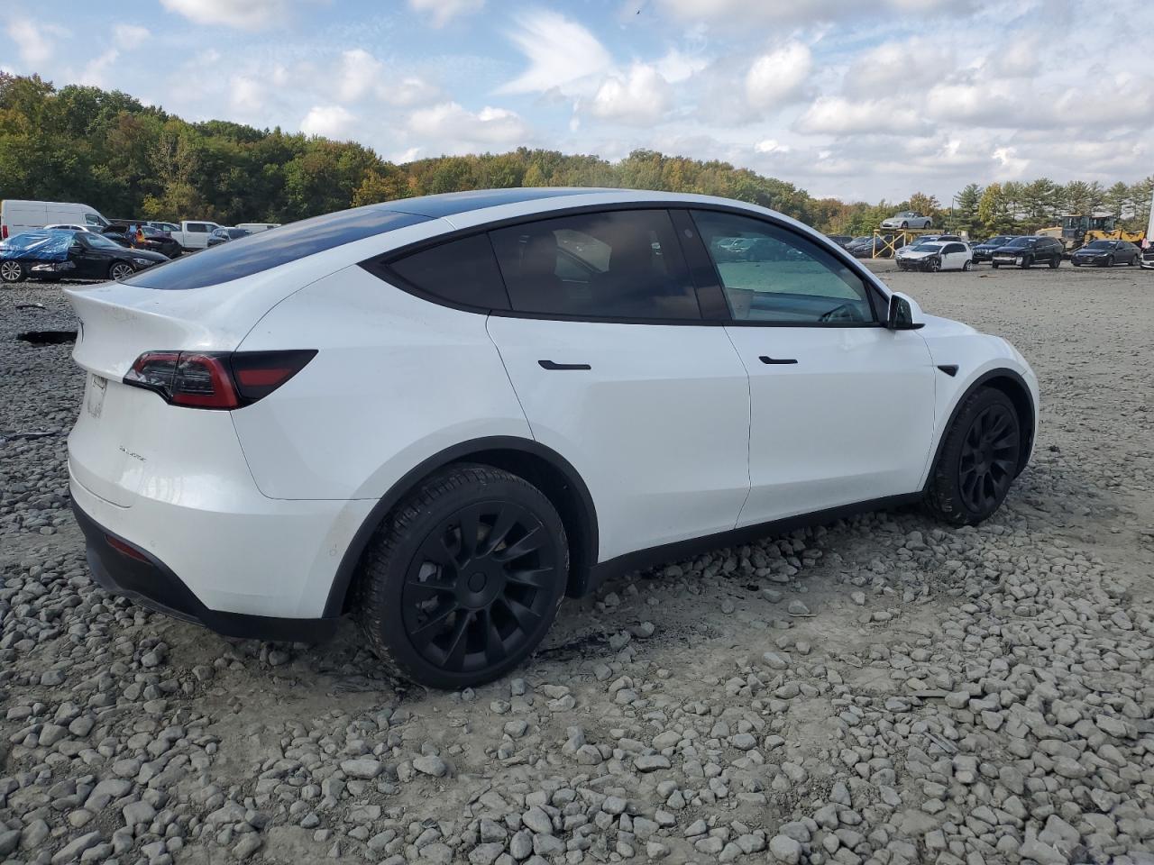 2022 TESLA MODEL Y  VIN:7SAYGDEE1NF328971