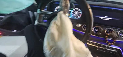 2019 Mercedes-Benz AMG GT 43 VIN: