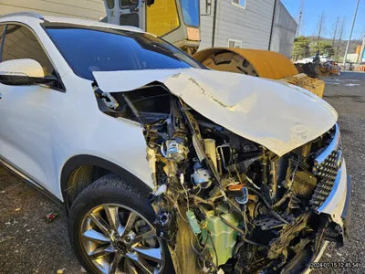 2017 Kia Sorento KNAPS81BBHA333163 VIN:KNAPS81BBHA333163