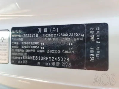 2022 Kia Carnival KNANE813BPS245028 VIN:KNANE813BPS245028