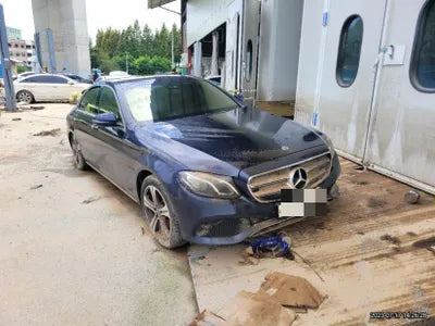 2019 Mercedes-Benz E 300 WDDZF4JB2KA699325 VIN:WDDZF4JB2KA699325