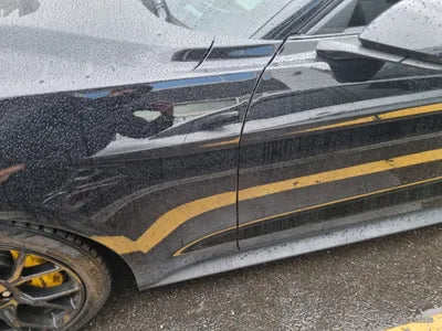 2019 Ford Mustang VIN: