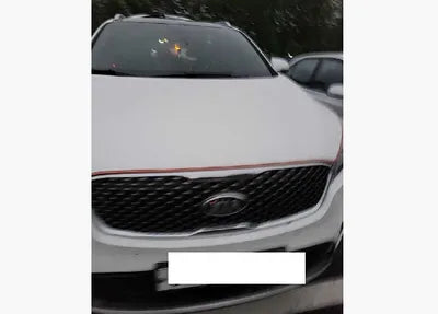 2017 Kia Sorento KNAPK81ABHA379648 VIN:KNAPK81ABHA379648