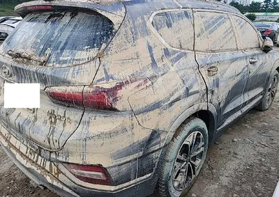 2019 Hyundai Santa FE KMHS381BDKU033487 VIN:KMHS381BDKU033487