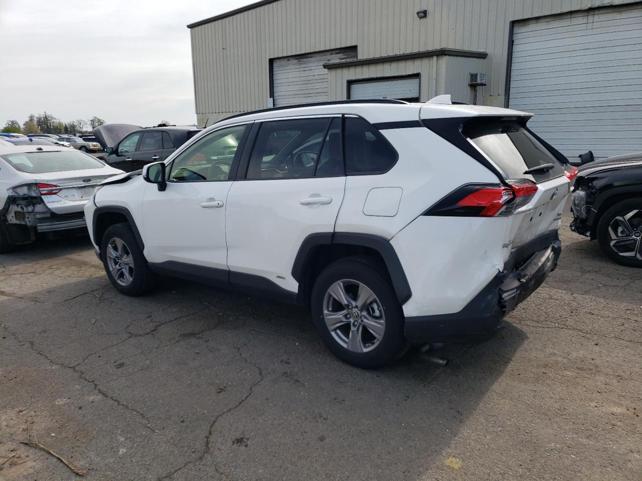 2024 TOYOTA RAV4 XLE VIN:JTMRWRFV6RD245520