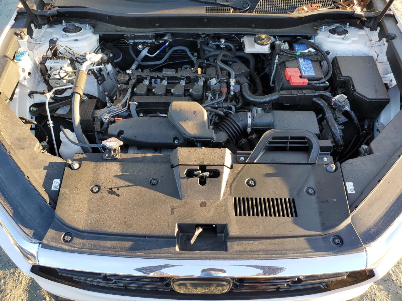 2024 HONDA CR-V EXL VIN:5J6RS4H76RL006854
