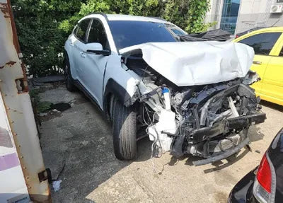 2019 Hyundai Kona KMHK7815GKU427643 VIN:KMHK7815GKU427643